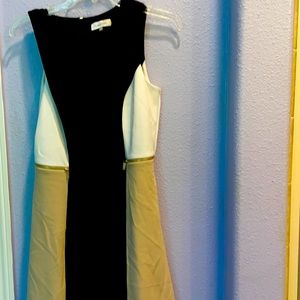 Black, white & tan Calvin Klein dress